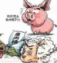 兽药残留