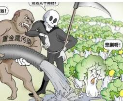 食品污染物